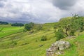 Austwick meadowland path to the Norber erratics, Yorkshire Dales, England Royalty Free Stock Photo