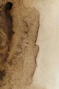 Autentic Brown Watercolor Texture. Painted Abstract Background Royalty Free Stock Photo