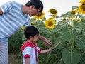 Authentic asian father and cute child boy in school uniform travel  in yellow beautiful sunflower field. Royalty Free Stock Photo