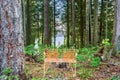 Authentic bench overlooking lake.