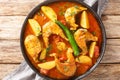 Authentic Bengali fish curry with potato closeup on the plate. Horizontal top view Royalty Free Stock Photo