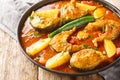 Authentic Bengali fish curry with potato closeup on the plate. Horizontal Royalty Free Stock Photo