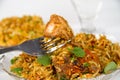 Authentic Chicken Biryani Royalty Free Stock Photo