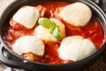 Authentic chicken pizzaiola is made with just 4 main ingredients chicken, tomato puree, basil and mozzarella closeup on the pan.