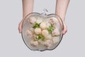 Chinese soups - scallops pork balls turnip soup Royalty Free Stock Photo