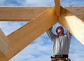 carpenter roof