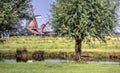 Authentic dutch landscape Royalty Free Stock Photo