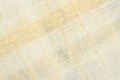 Authentic Egyptian papyrus paper, diagonal background and texture 45. Closeup high resolution Royalty Free Stock Photo