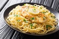 Authentic fried breaded chicken Francaise with spaghetti in lemon wine gravy close-up on a plate. horizontal