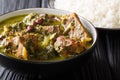 Authentic Ghormeh Sabzi dish of lamb stew meat with herbs and beans close-up in a bowl and rice. horizontal Royalty Free Stock Photo