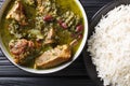 Authentic Ghormeh Sabzi dish of lamb stew meat with herbs and beans close-up in a bowl and rice. Horizontal top view Royalty Free Stock Photo