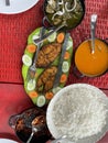 An Authentic Goan Meal, Fried Fish, Fish curry and white rice Royalty Free Stock Photo