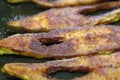 A Authentic Goan Meal, Fried Fish, Fish curry and white rice