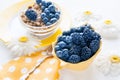 Authentic healthy cereal, blueberries, blackberries and muesli with fruit and nuts. Copy space. Royalty Free Stock Photo