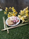 7. Authentic Indonesian spices in the photo on green synthetic grass with yellow frangipani flowers and lemongrass leaves Royalty Free Stock Photo