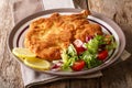 Authentic Italian food: veal Milanese with lemon and fresh vegetable salad close-up. horizontal Royalty Free Stock Photo