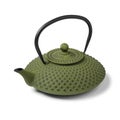 Authentic Japanese Cast Iron Kettle and Teapot on white background close up