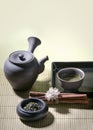 Authentic japanese tea pot with green tea