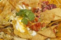 Authentic Mexican Nachos Royalty Free Stock Photo