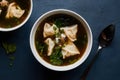 An authentic portrayal of wonton soup in professional photography