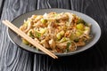 Authentic recipe for Filipino noodles pancit bichon with vegetables and meat in a spicy sauce close-up in a plate. horizontal