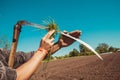 Authentic rural farmer clean scythe with grass. Agriculture worker. Vegetable garden. Farm implements. Rustic background. Work