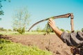 Authentic rural farmer clean scythe with grass. Agriculture worker. Vegetable garden. Farm implements. Rustic background. Work