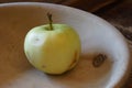 Authentic rustic ugly apple