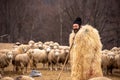 Authentic shepherd from Romania in the Carpathian mountains Royalty Free Stock Photo