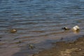 Authentic shore at Rabisha lake near by Magura cave