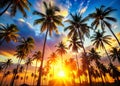 Authentic Summer Palm Tree Backdrops DocumentaryStyle Images for Creative Design Projects Royalty Free Stock Photo