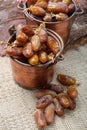 Authentic Tunisian Deglet Nour dried dates with soft honey-like taste Royalty Free Stock Photo