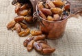 Authentic Tunisian Deglet Nour dried dates with soft honey-like taste Royalty Free Stock Photo