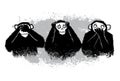 The author's illustration. Three monkeys. Royalty Free Stock Photo