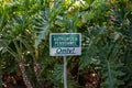 Authorized Personnel sign Royalty Free Stock Photo