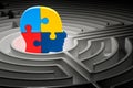 Autism concept, human head from puzzles at center of a maze. 3D