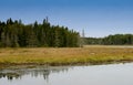 Autmn image of Acadia National Park in New England Royalty Free Stock Photo