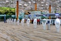 Auto check-in kiosks at auto check-in hall is empty; no people, travellers during covid period.