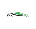Auto Green Car And Eco Friendly Logo Design