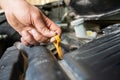 An auto mechanic pulls out a dipstick to check the oil level in a car engine. Royalty Free Stock Photo