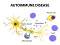 Autoimmune Disease. The mechanisms of neuronal damage in multiple sclerosis