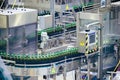 Automated beer bottling production line. Packed beer bottles on conveyor belt Royalty Free Stock Photo