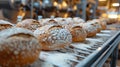 automated bread production, utilizing high-tech machinery, innovative automated bread production streamlines the baking