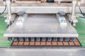 Automated conveyor belt system preparing plant seedlings to be planted