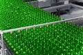 Automated conveyor line in a brewery. Rows of green glass bottles on the conveyor close-up.