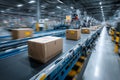 Automated conveyor system transporting packages in logistics center, showcasing advanced technology and efficiency in operations Royalty Free Stock Photo
