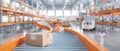 Automated conveyor systems in a streamlined warehouse showcase operational efficiency and speed.