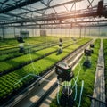 Automated crop protection system in a high-tech farm, Futuristic farm with sensor-equipped devices