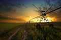 Automated farming irrigation sprinklers system on cultivated agricultural landscape field in summer sunset. Royalty Free Stock Photo