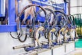 Automated goat milking suction machine with teat cups at exhibition